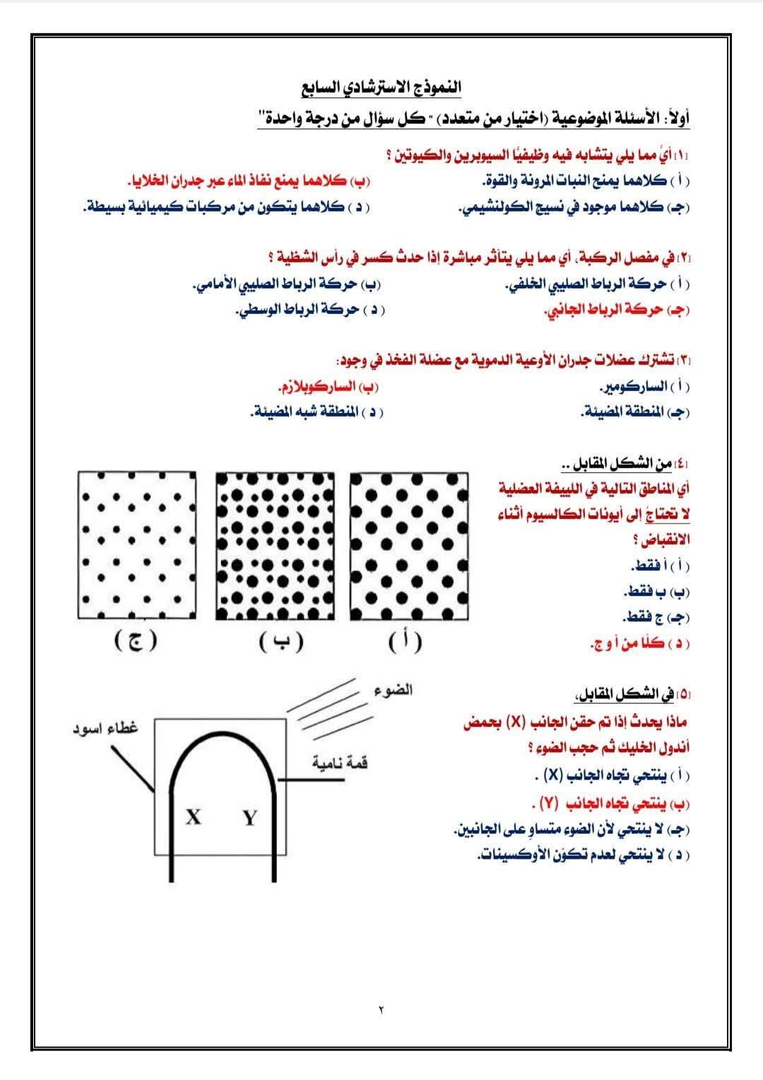 إجابات النموذج الاسترشادي السابع أحياء 2026 إجابات النموذج الاسترشادي السابع أحياء 2026